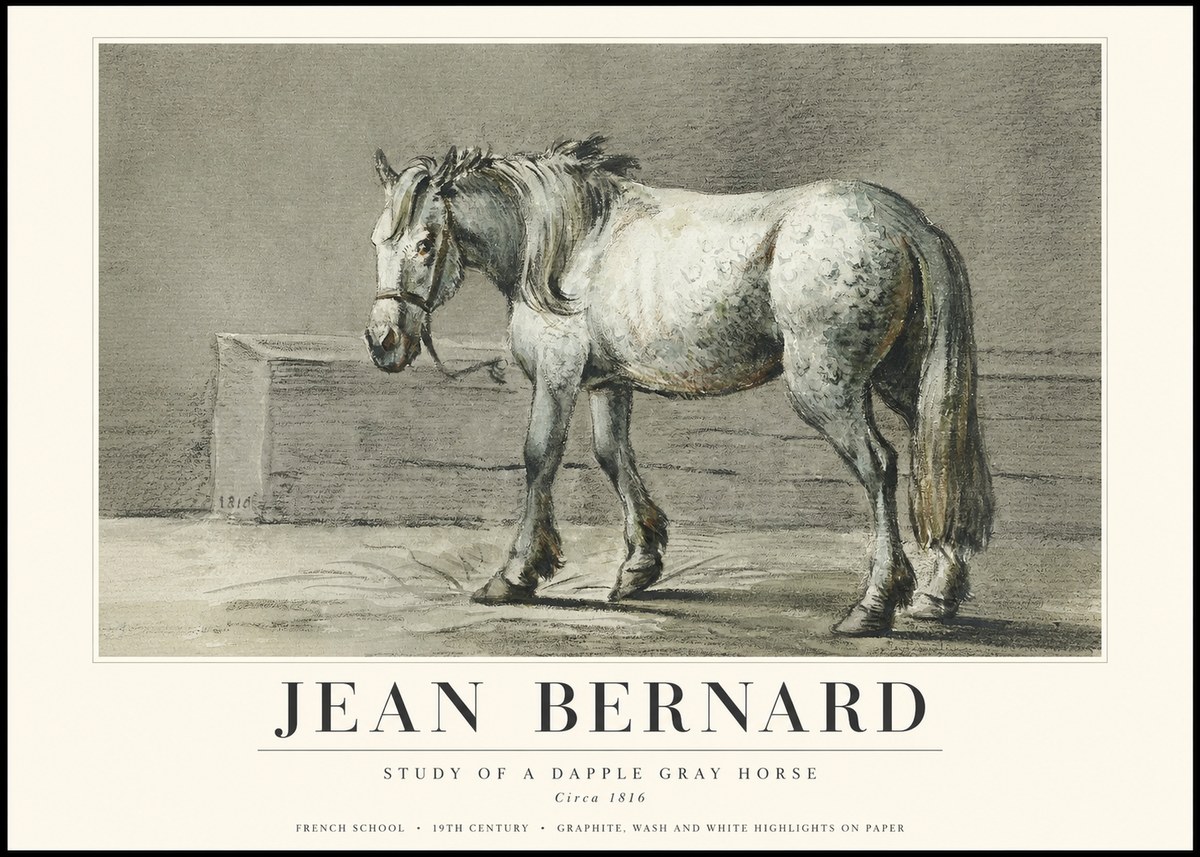 Jean Bernard Study of a Dapple Gray Horse No3 - Affiche