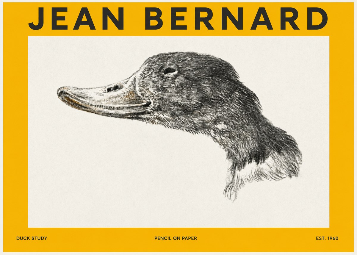 Jean Bernard Study of a Duck No3 - Affiche