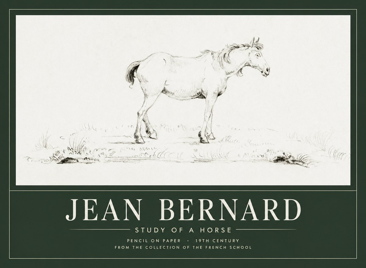 Jean Bernard Study of a Horse IV No1 - Affiche