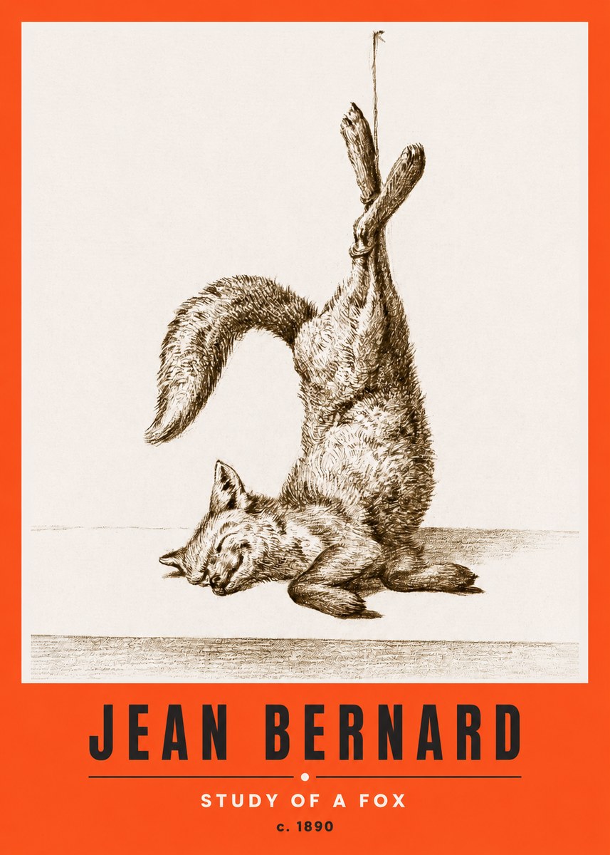 Jean Bernard Study of a Fox No2 - Affiche