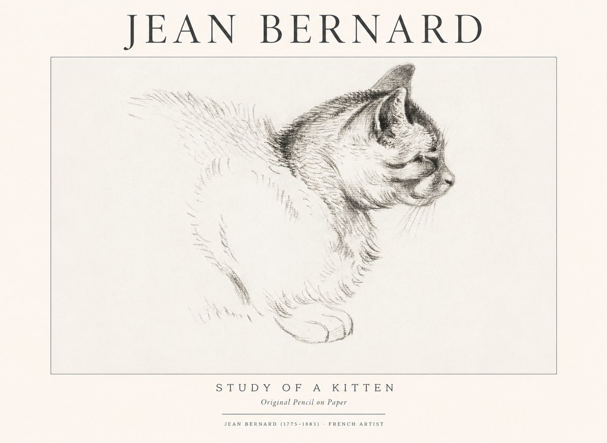 Jean Bernard Study of a Kitten II No1 - Affiche