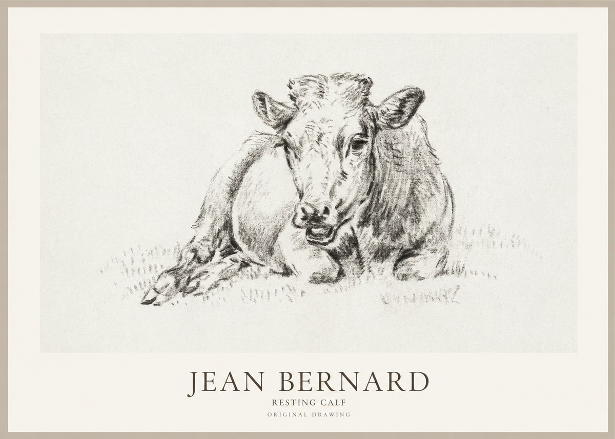 Jean Bernard Resting Calf II No1 - Affiche