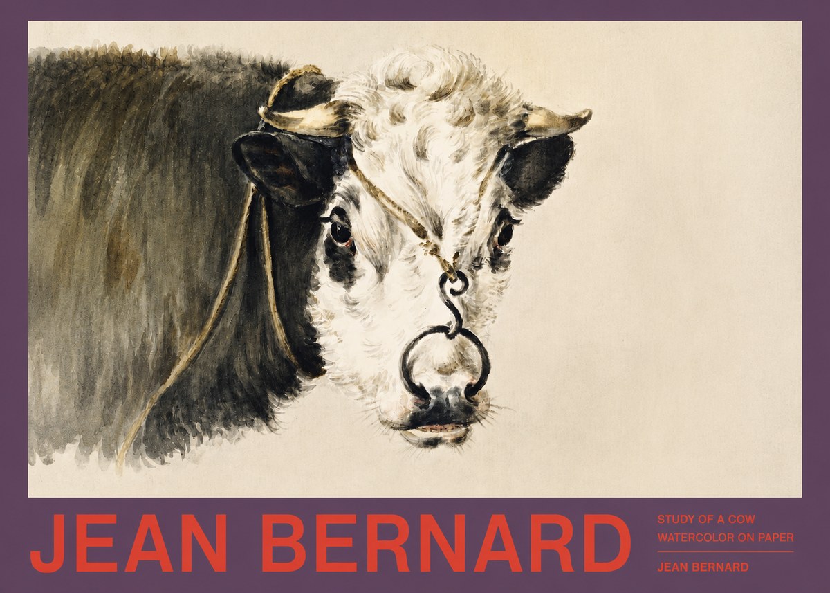 Jean Bernard Study of a Cow I No2 - Affiche