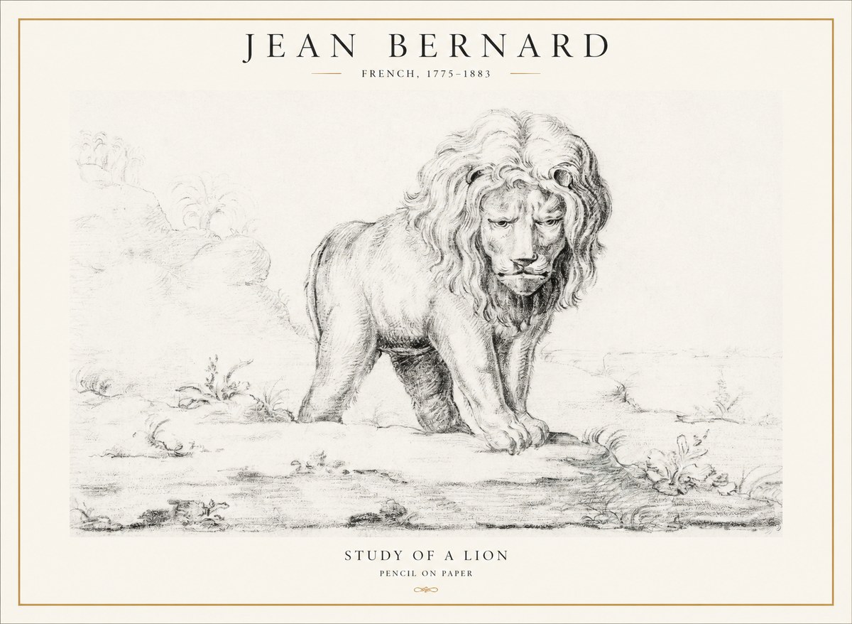 Jean Bernard Study of a Lion I No4 - Affiche