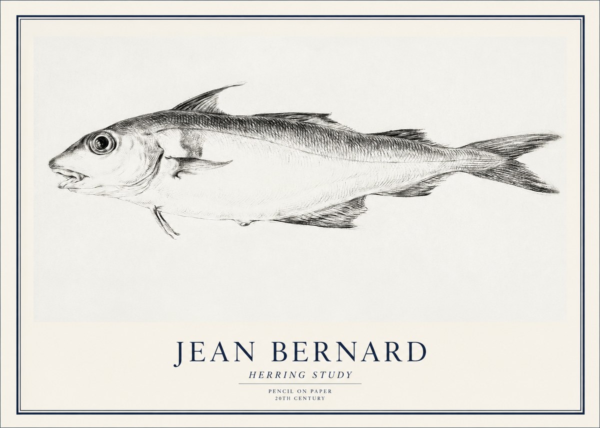 Jean Bernard Herring Study No1 - Affiche