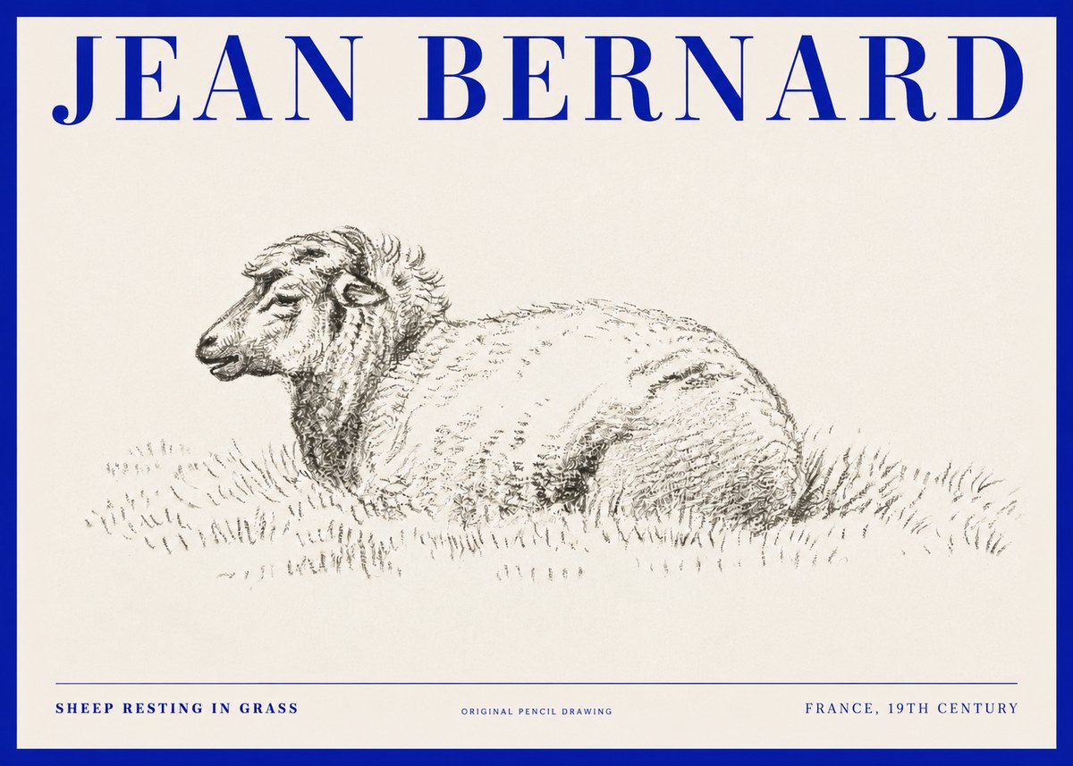 Jean Bernard Sheep Resting in Grass No2 - Affiche