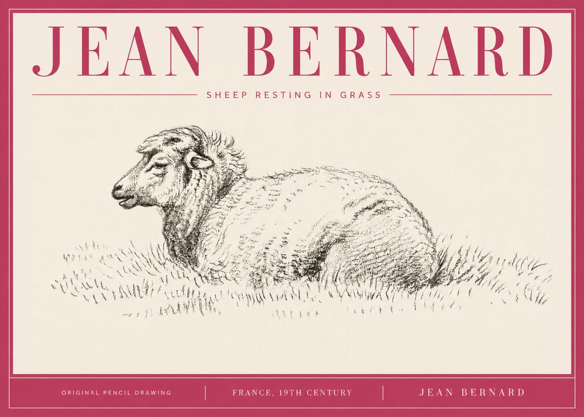 Jean Bernard Sheep Resting in Grass No4 - Affiche