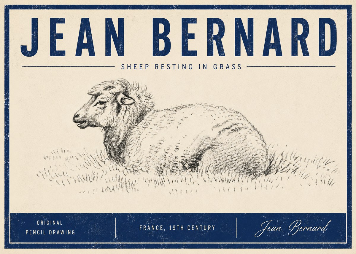 Jean Bernard Sheep Resting in Grass No5 - Affiche