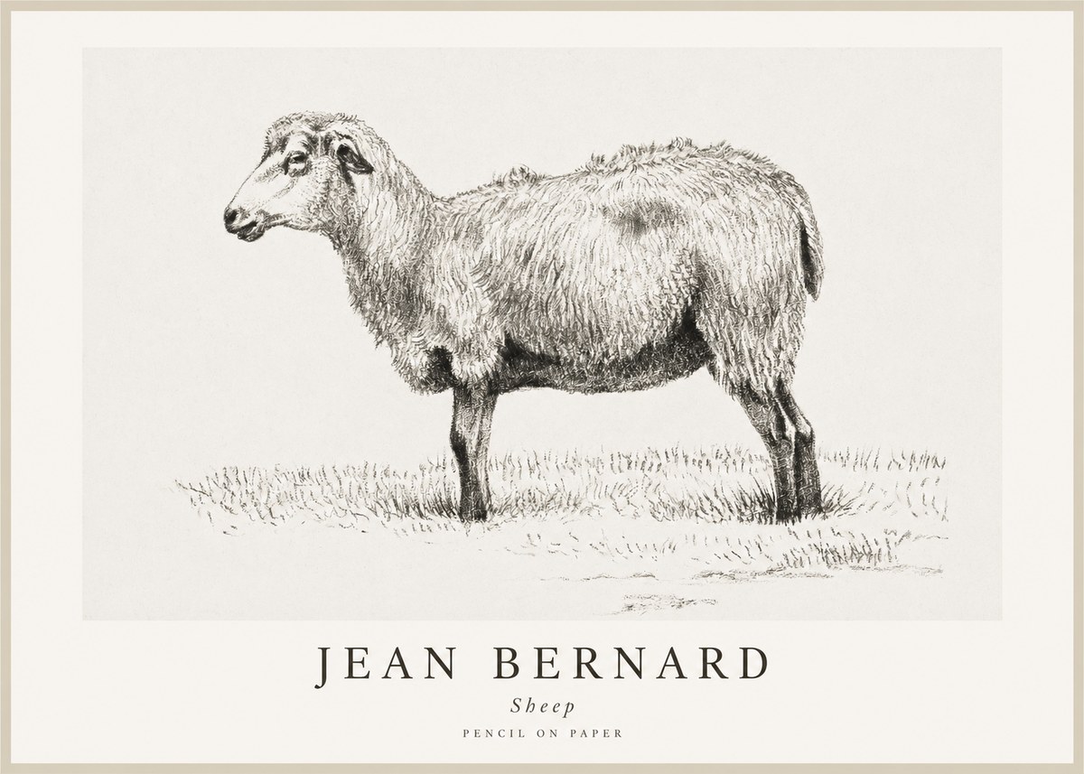 Jean Bernard Sheep No1 - Affiche