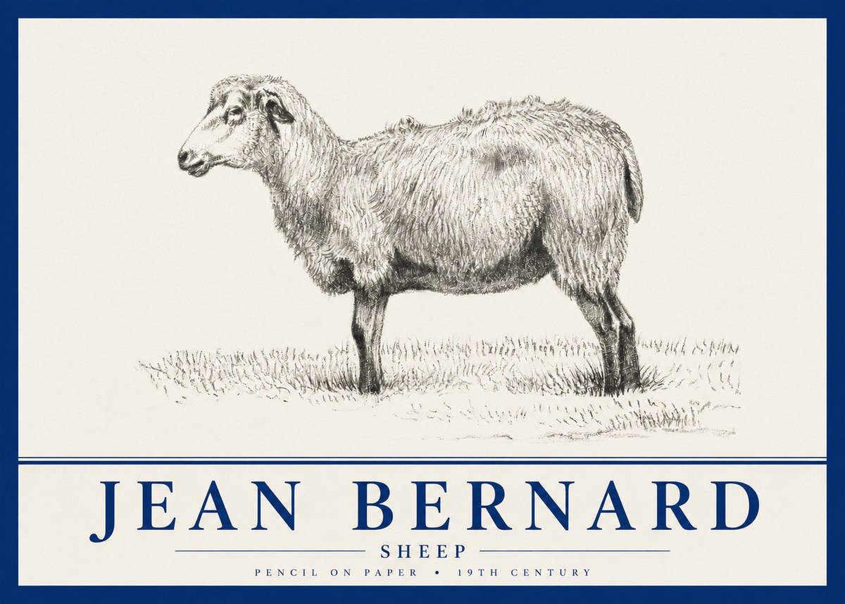 Jean Bernard Sheep No4 - Affiche