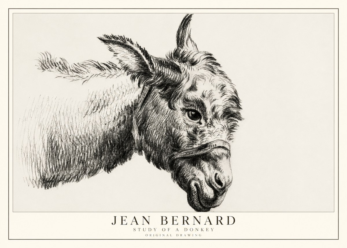 Jean Bernard Study of a Donkey I No1 - Affiche