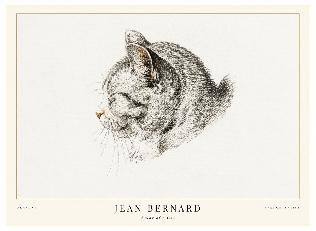 Jean Bernard Study of a Cat I No1 - Affiche