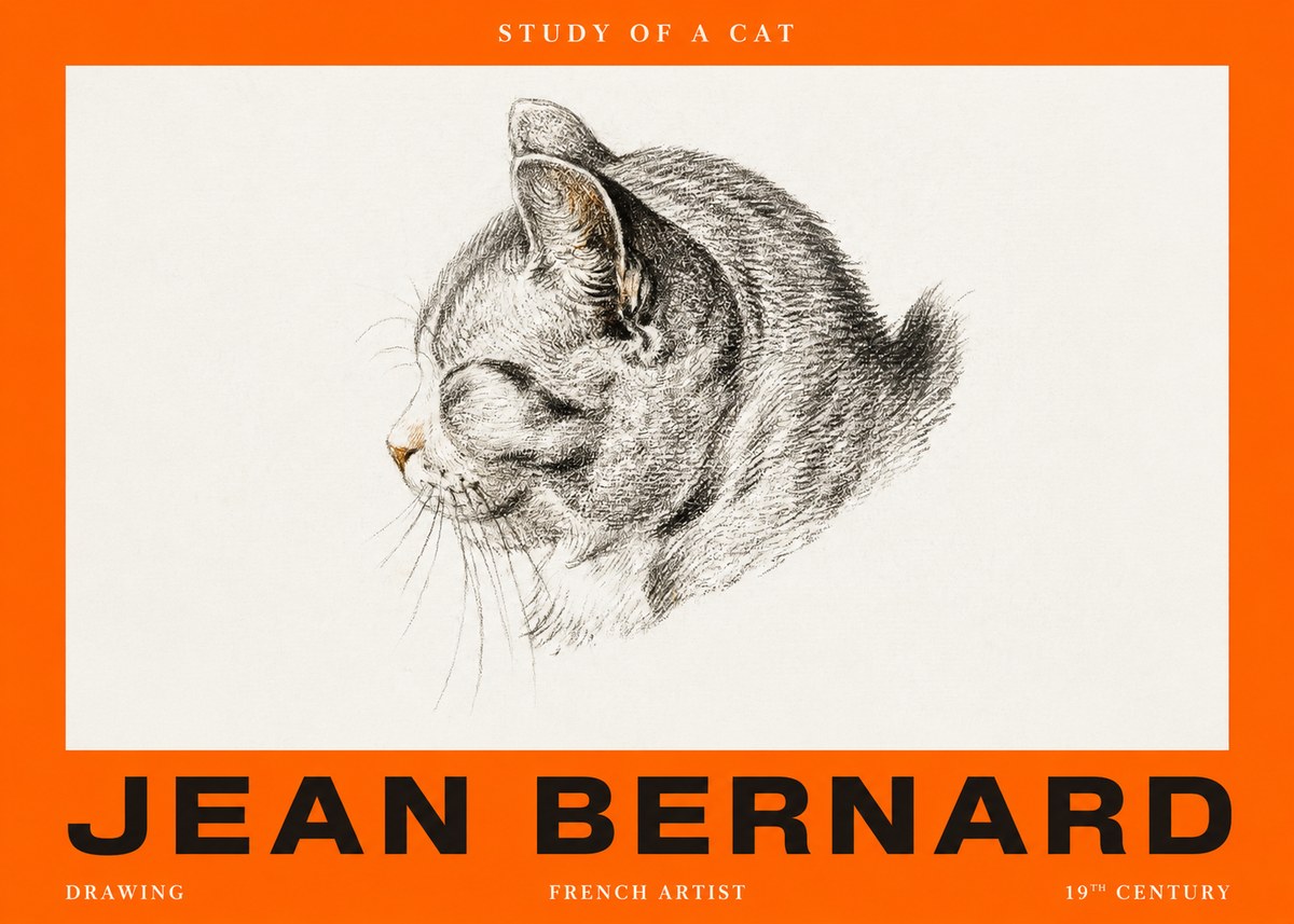 Jean Bernard Study of a Cat I No2 - Affiche