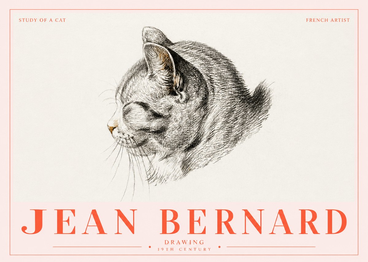 Jean Bernard Study of a Cat I No5 - Affiche
