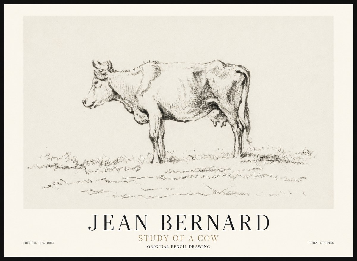 Jean Bernard Study of a Cow III No1 - Affiche