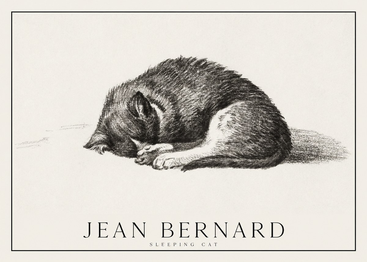 Jean Bernard Sleeping Cat III No1 - Affiche