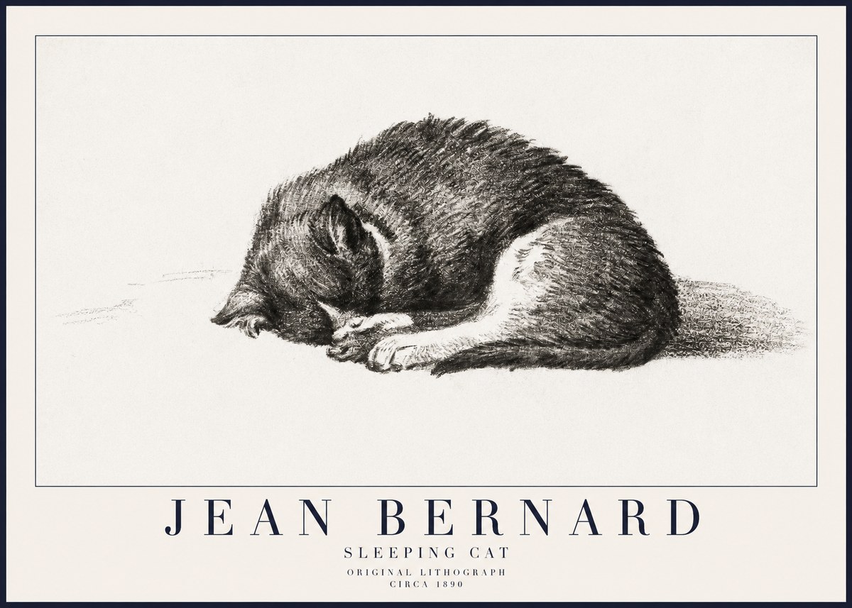 Jean Bernard Sleeping Cat III No6 - Affiche