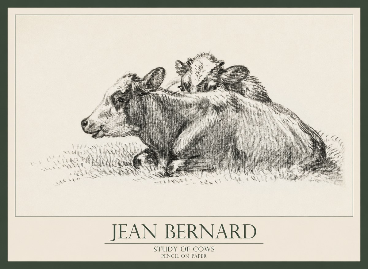 Jean Bernard Study of Cows No1 - Affiche