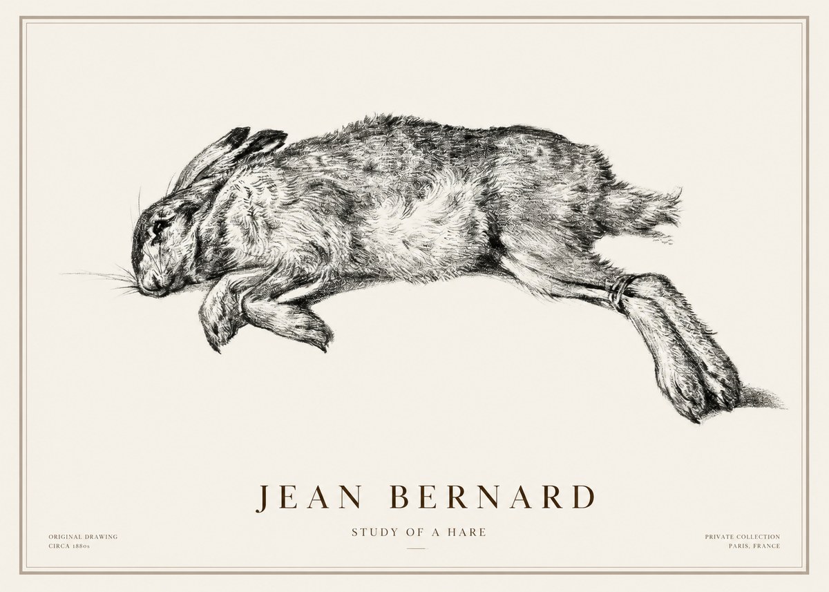 Jean Bernard Study of a Rabbit No3 - Affiche