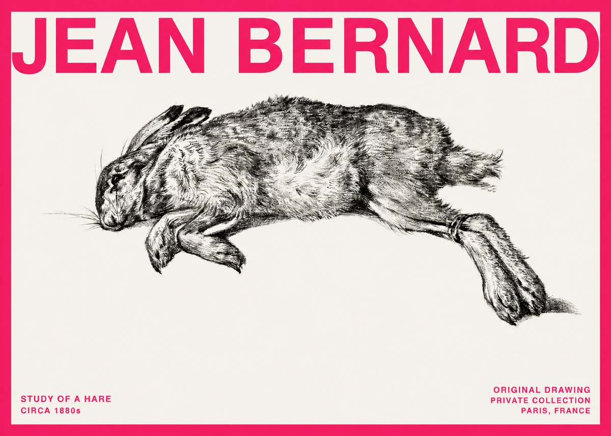Jean Bernard Study of a Rabbit No4 - Affiche