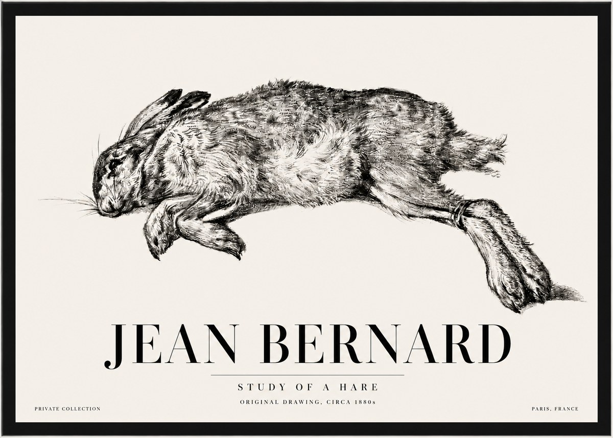 Jean Bernard Study of a Rabbit No5 - Affiche