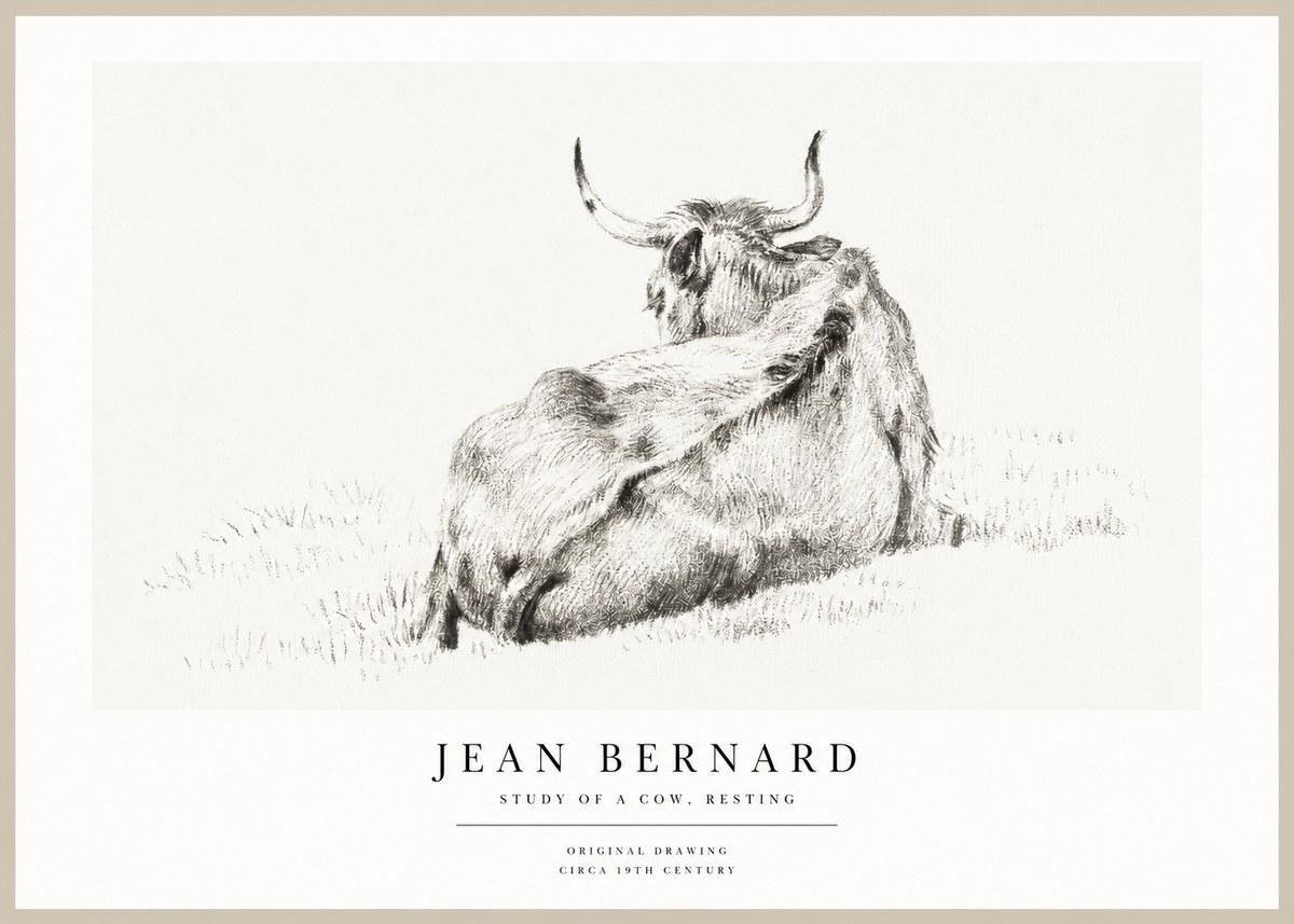 Jean Bernard Resting Bovine - Study in Graphite No2 - Affiche