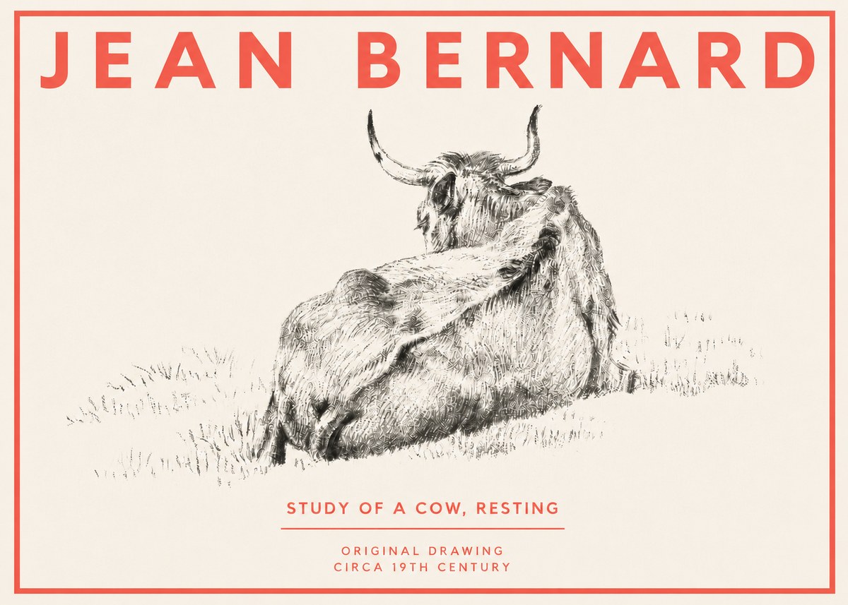 Jean Bernard Resting Bovine - Study in Graphite No4 - Affiche