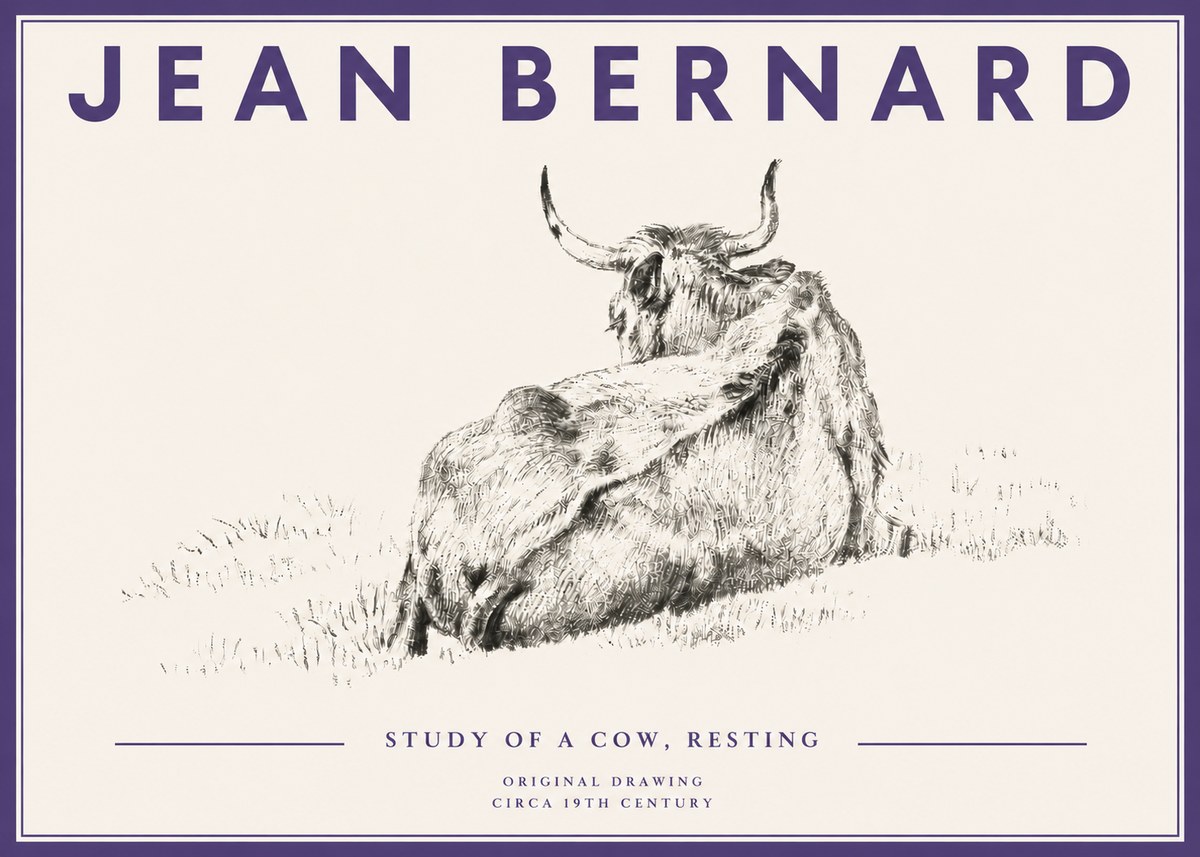 Jean Bernard Resting Bovine - Study in Graphite No5 - Affiche