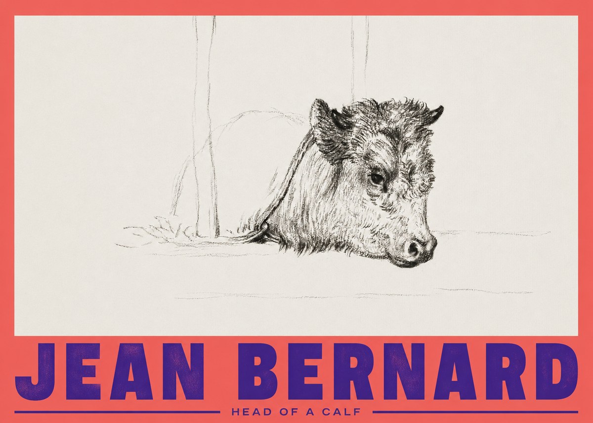Jean Bernard Study of a Calf I No3 - Affiche