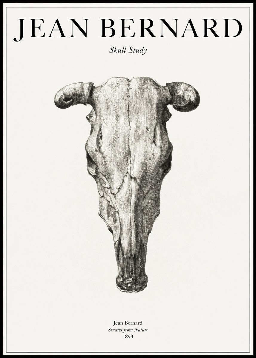 Jean Bernard Skull Study No1 - Affiche