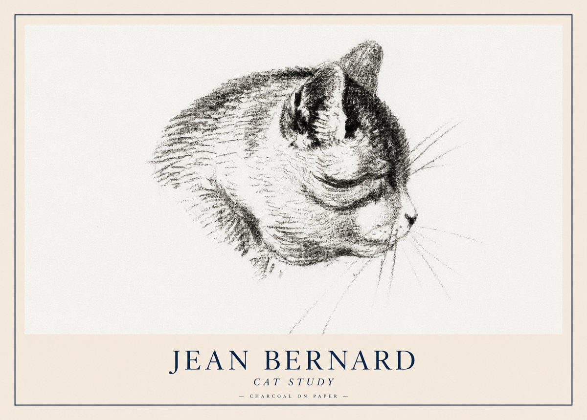 Jean Bernard Cat Study IV No2 - Affiche