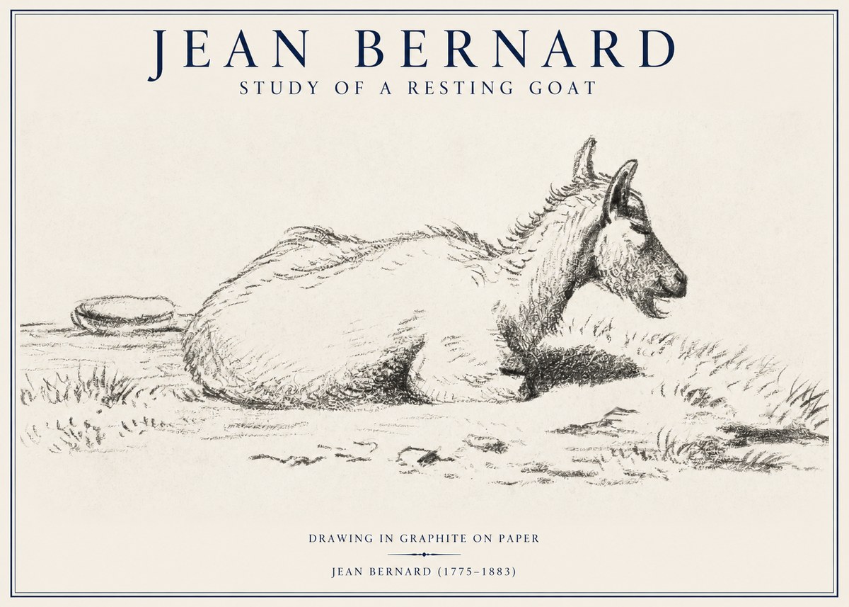 Jean Bernard Study of a Resting Goat No1 - Affiche