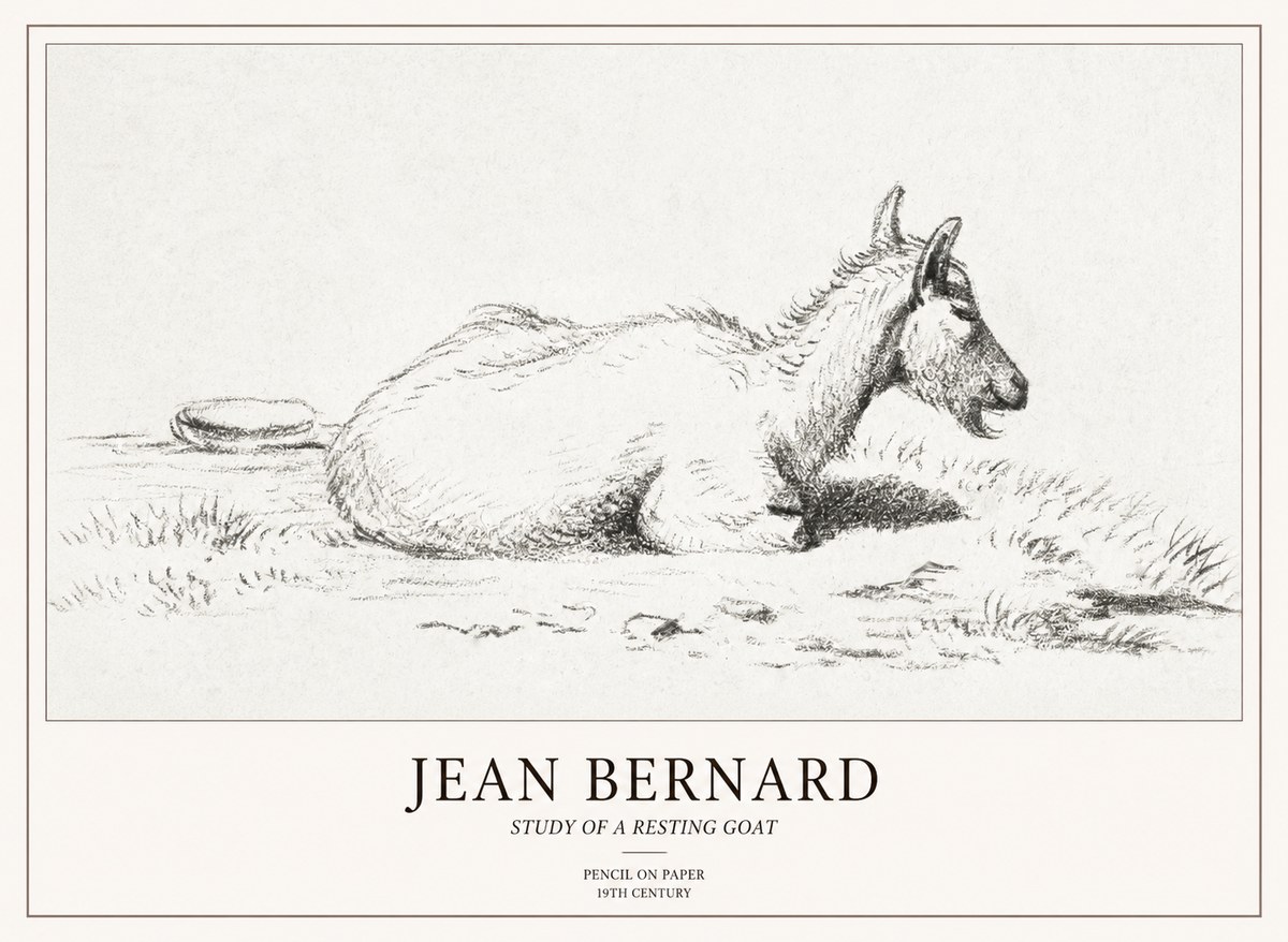 Jean Bernard Study of a Resting Goat No2 - Affiche