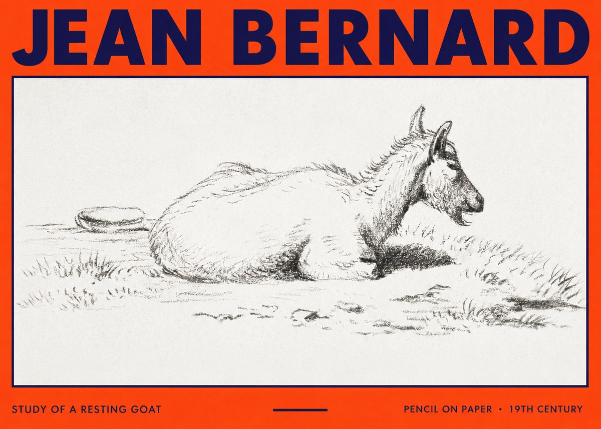 Jean Bernard Study of a Resting Goat No3 - Affiche