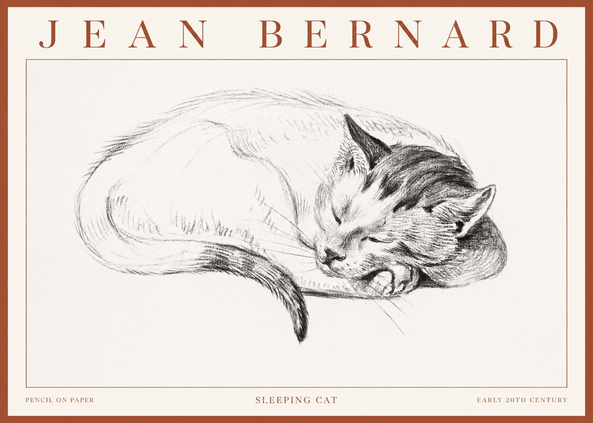 Jean Bernard Sleeping Cat IV No3 - Affiche