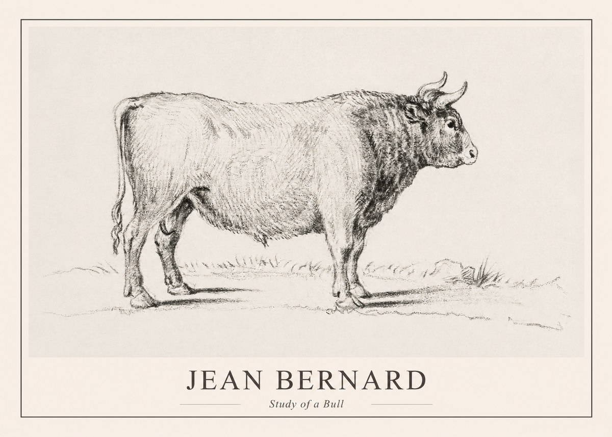 Jean Bernard Study of a Bull I No1 - Affiche