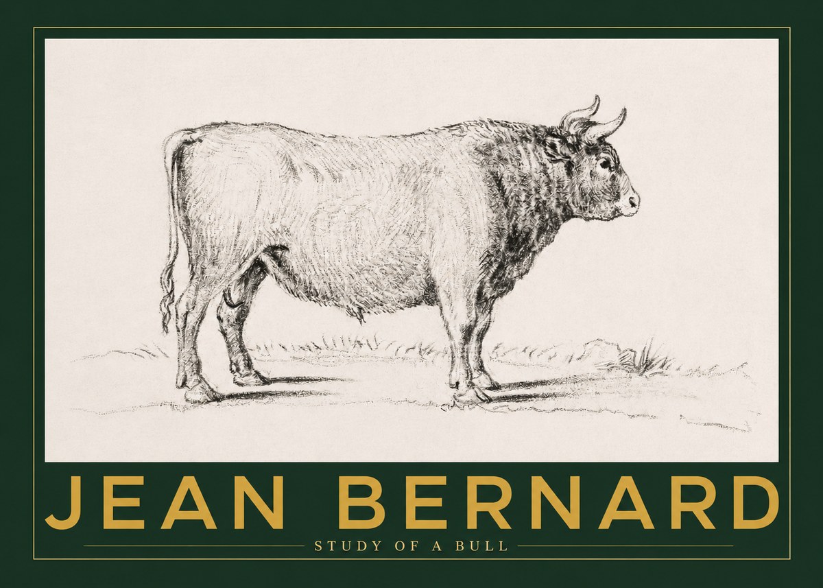 Jean Bernard Study of a Bull I No2 - Affiche