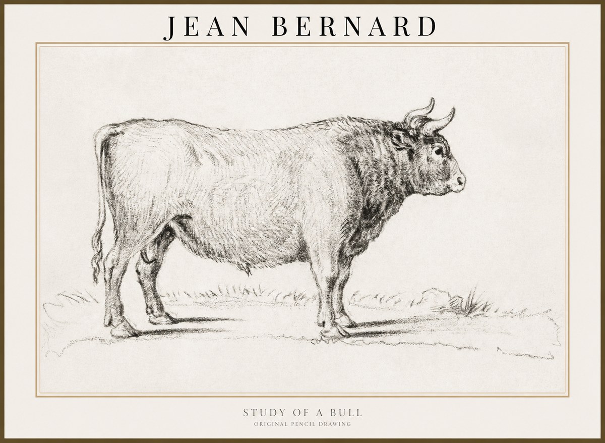Jean Bernard Study of a Bull I No3 - Affiche