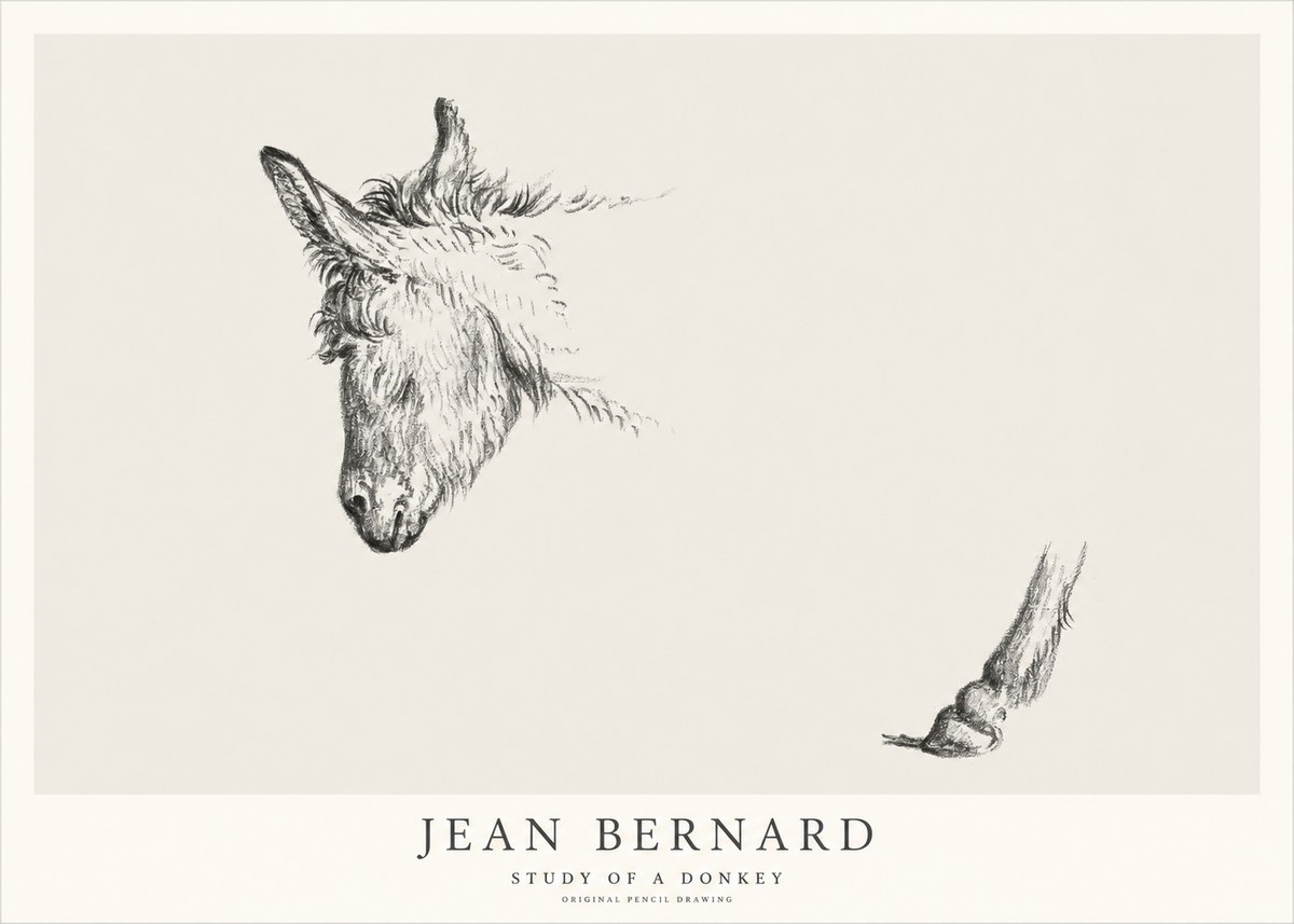 Jean Bernard Study of a Donkey II No1 - Affiche
