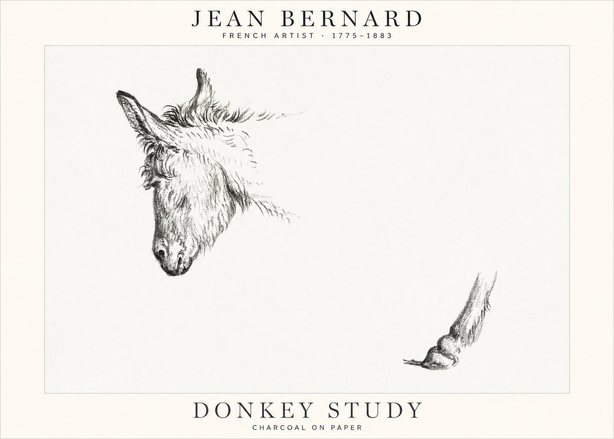 Jean Bernard Study of a Donkey II No2 - Affiche