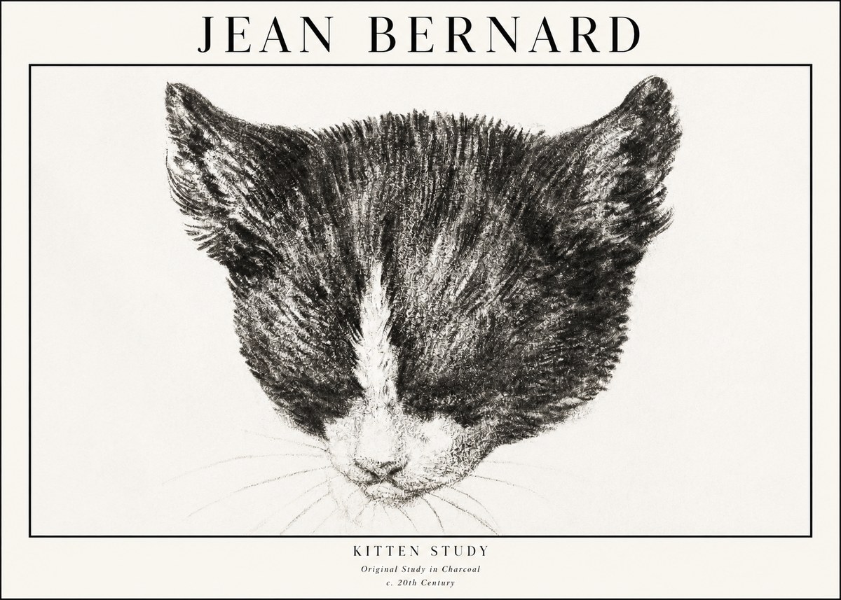 Jean Bernard Cat Study V No4 - Affiche