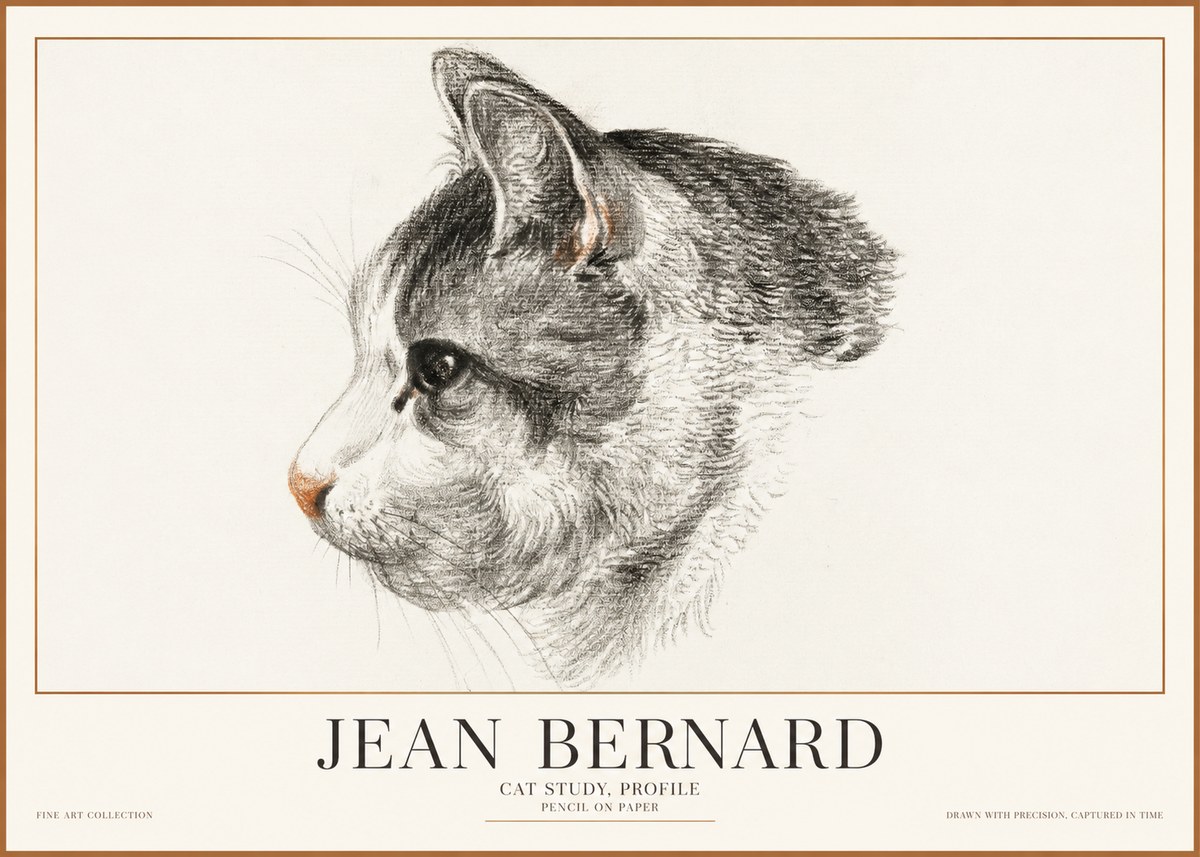 Jean Bernard Cat Study, Profile No1 - Affiche