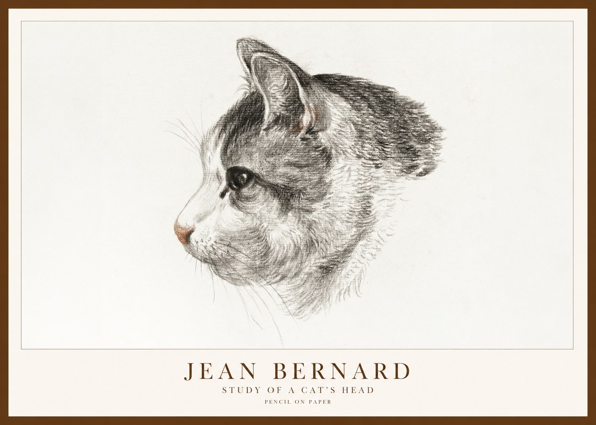 Jean Bernard Cat Study, Profile No2 - Affiche