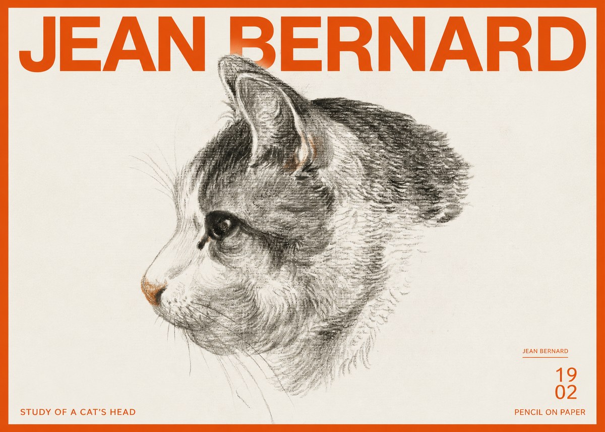 Jean Bernard Cat Study, Profile No3 - Affiche