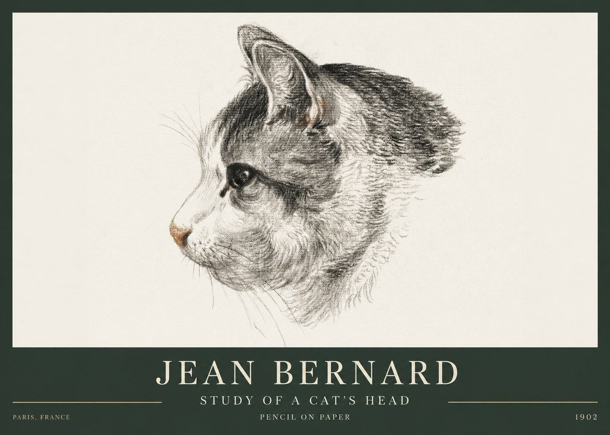 Jean Bernard Cat Study, Profile No4 - Affiche