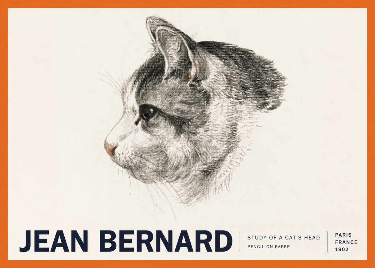 Jean Bernard Cat Study, Profile No6 - Affiche