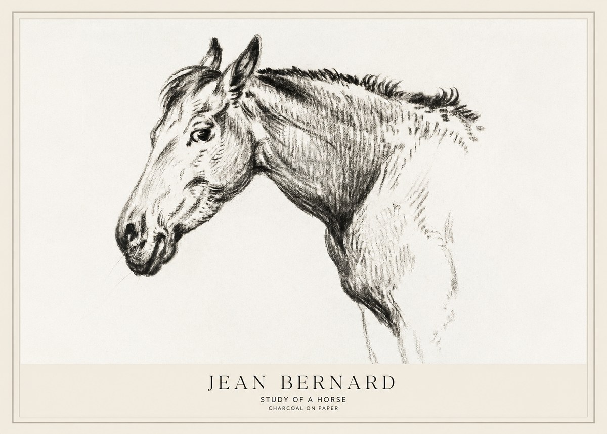 Jean Bernard Study of a Horse VI No1 - Affiche