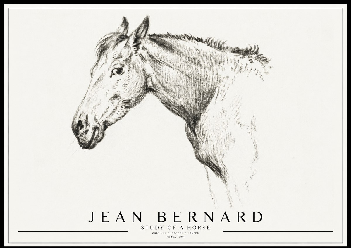 Jean Bernard Study of a Horse VI No3 - Affiche