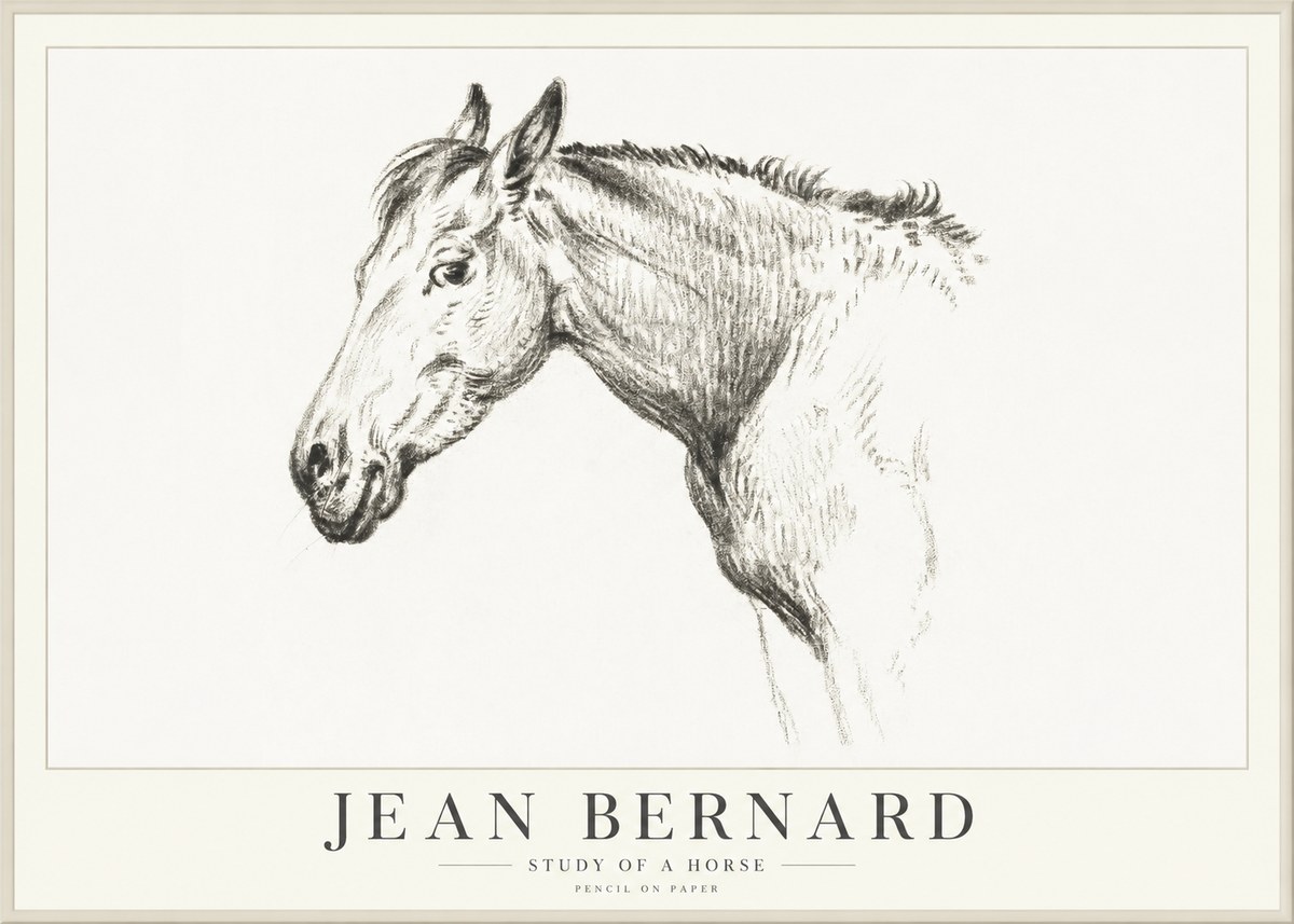 Jean Bernard Study of a Horse VI No4 - Affiche