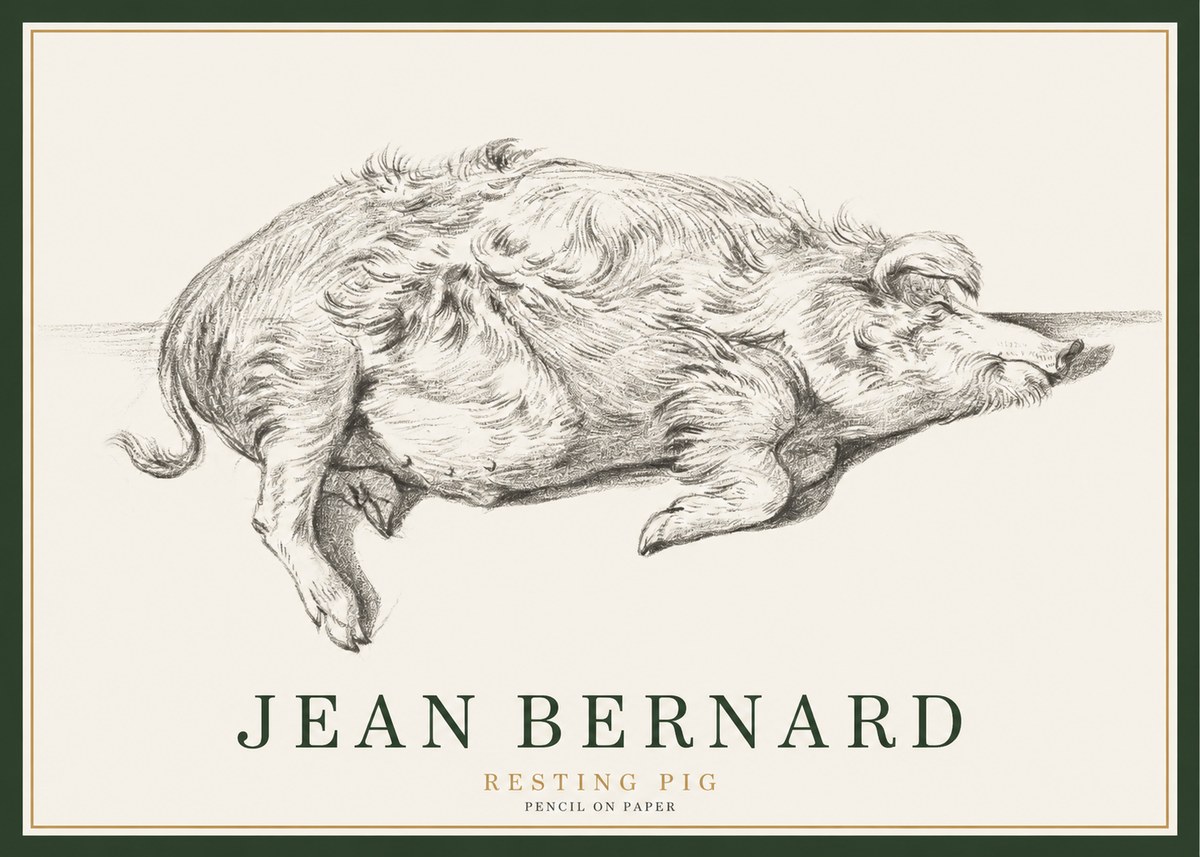 Jean Bernard Study of a Pig I No3 - Affiche